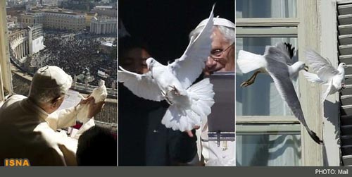 پرنده صلح پاپ خورده شد! +عکس