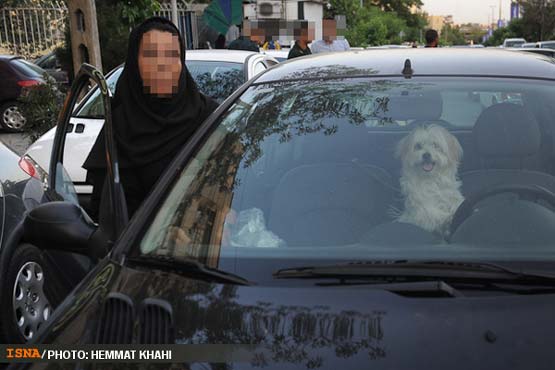 تصاویر: برخورد با رانندگان بدحجاب و سگ گردانی