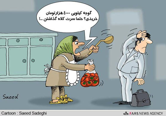 کاریکاتورهایی از گرانی در ایران