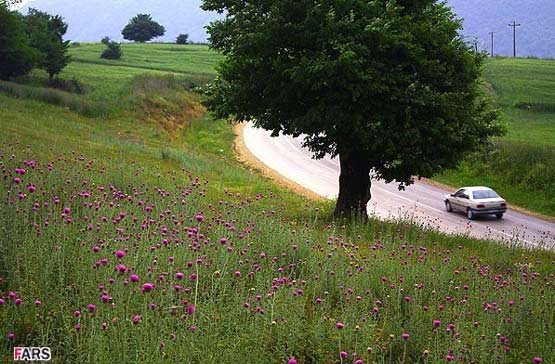 تصاویر: طبیعت زیبای مازندران