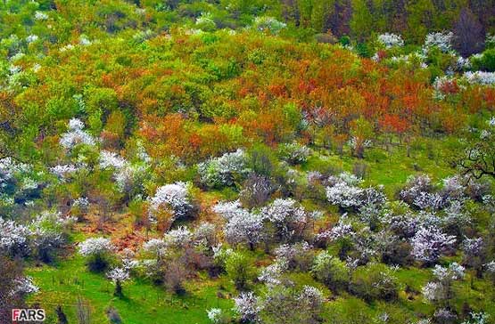 تصاویر: طبیعت زیبای مازندران