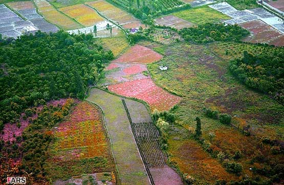 تصاویر: طبیعت زیبای مازندران