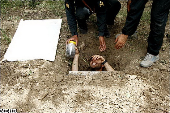 عکس: مرکز آموزش سگ‌های موادیاب ناجا