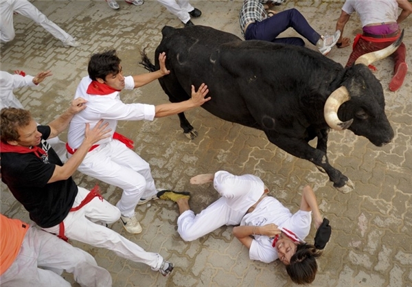 تصاویرفستیوال گاوبازی اسپانیا با6مجروح