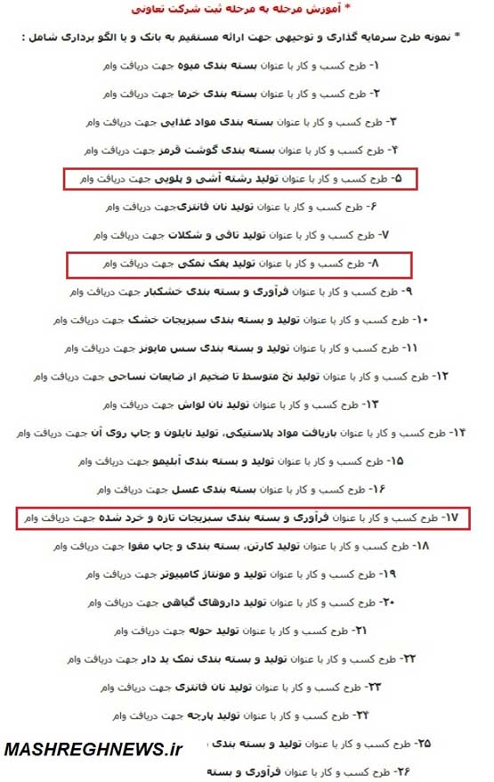 اخذ وام با تولید پفک و سبزی خردکنی