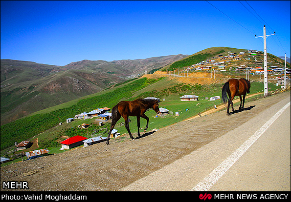 تصاویر طبیعت زیبای گردنه الماس