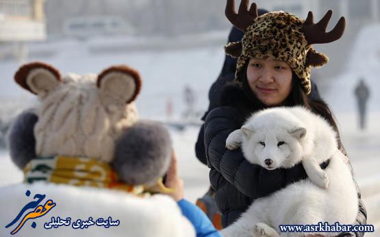 تصاویر جالب از جشنواره جهانی برف و یخ