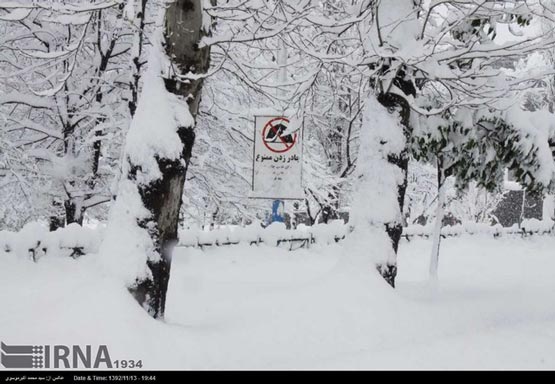 مازندران در محاصره برف (عکس)