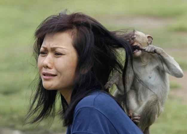 حمله حیوانات به دختران + تصاویر