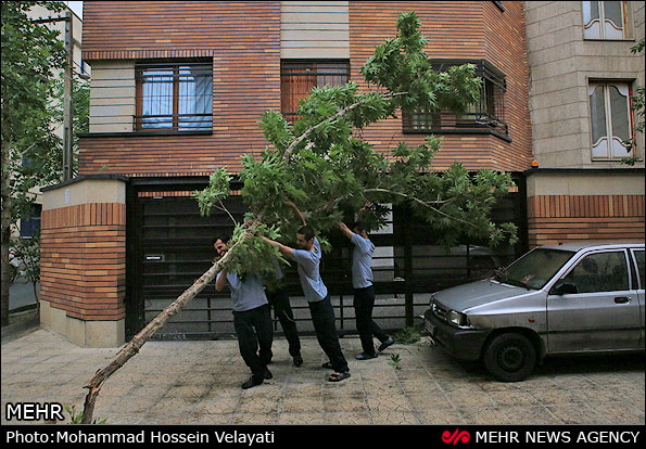 طوفان تهران را با خود برد/تصاویر
