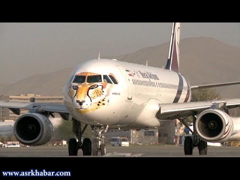نقش یوزپلنگ ایرانی بر روی هواپیما (عکس)