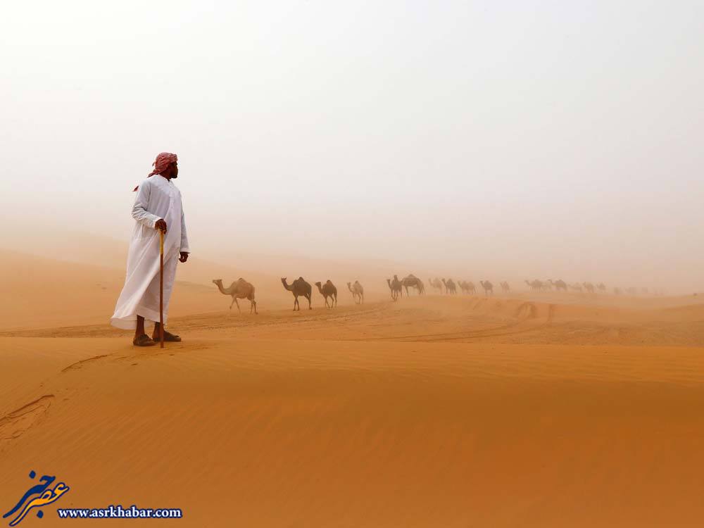 عکس جالب از امارات