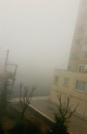 تهران در مه غلیظ فرو رفت +تصاویر
