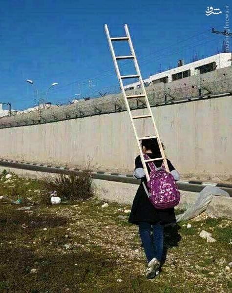 دختری که هر روز با «نردبان» به مدرسه می‌رود (عکس)