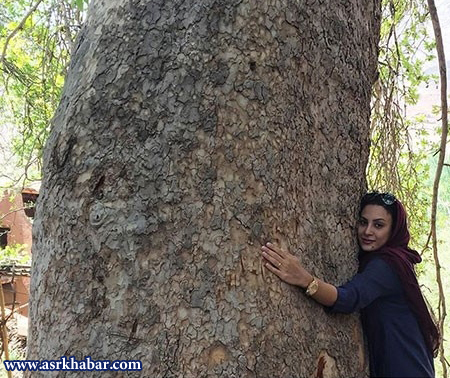 بازیگر معروف در آغوش یک درخت + عکس
