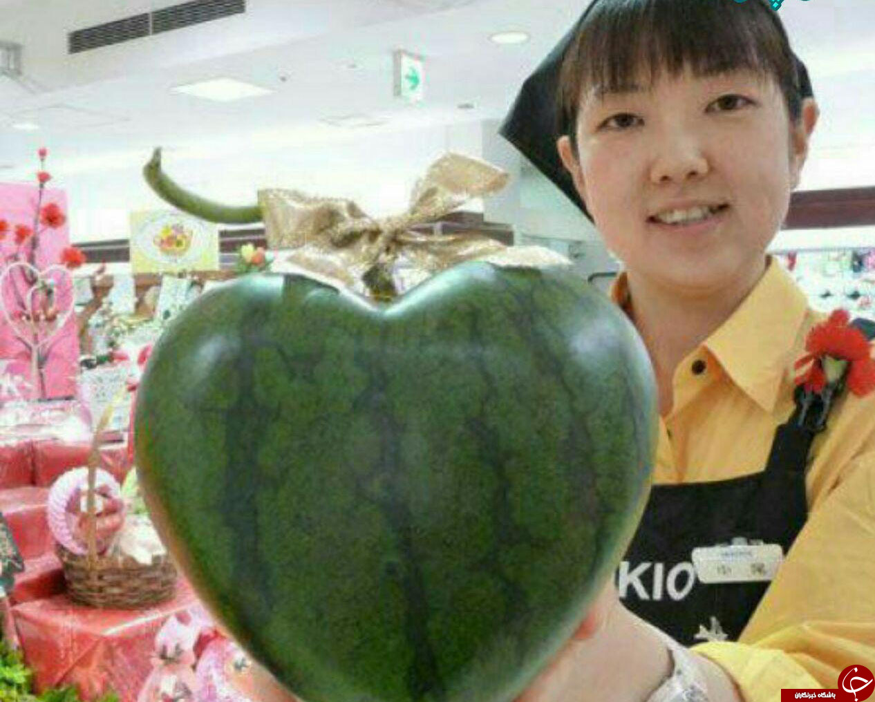تولید هندوانه به شکل قلب در ژاپن (عکس)