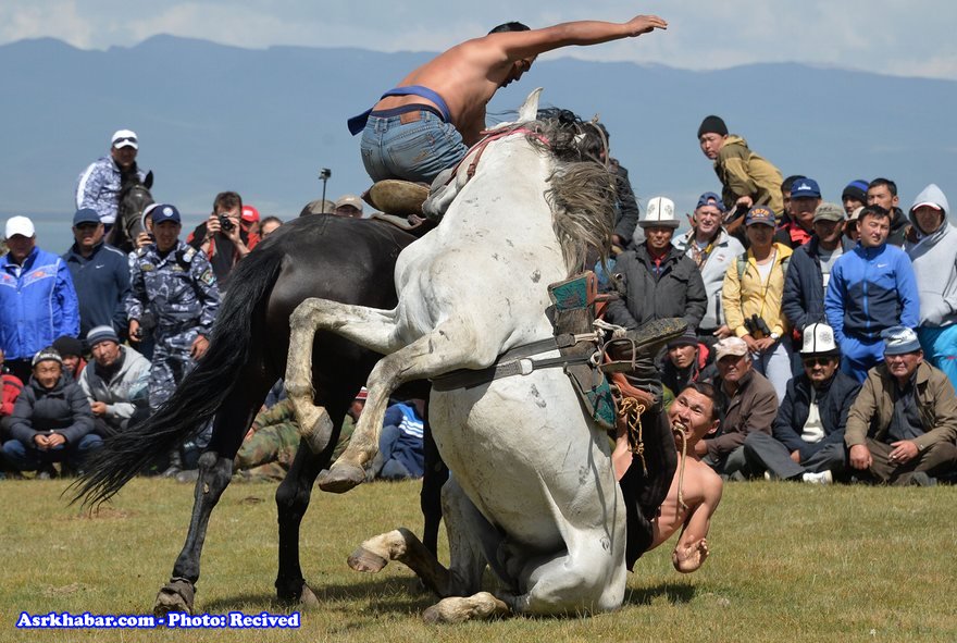 مسابقه کشتی با اسب (عکس)