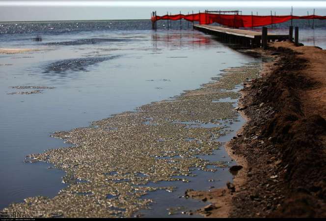 تصاویر وحشتناک از ورود آلودگی به آب دریای خزر