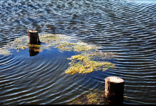 تصاویر وحشتناک از ورود آلودگی به آب دریای خزر