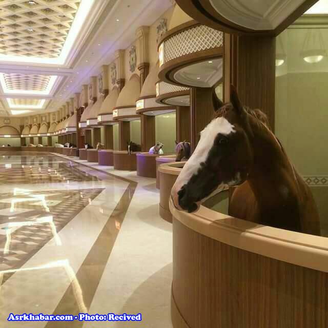 لوکس ترین اصطبل اسب جهان در دبی(عکس)