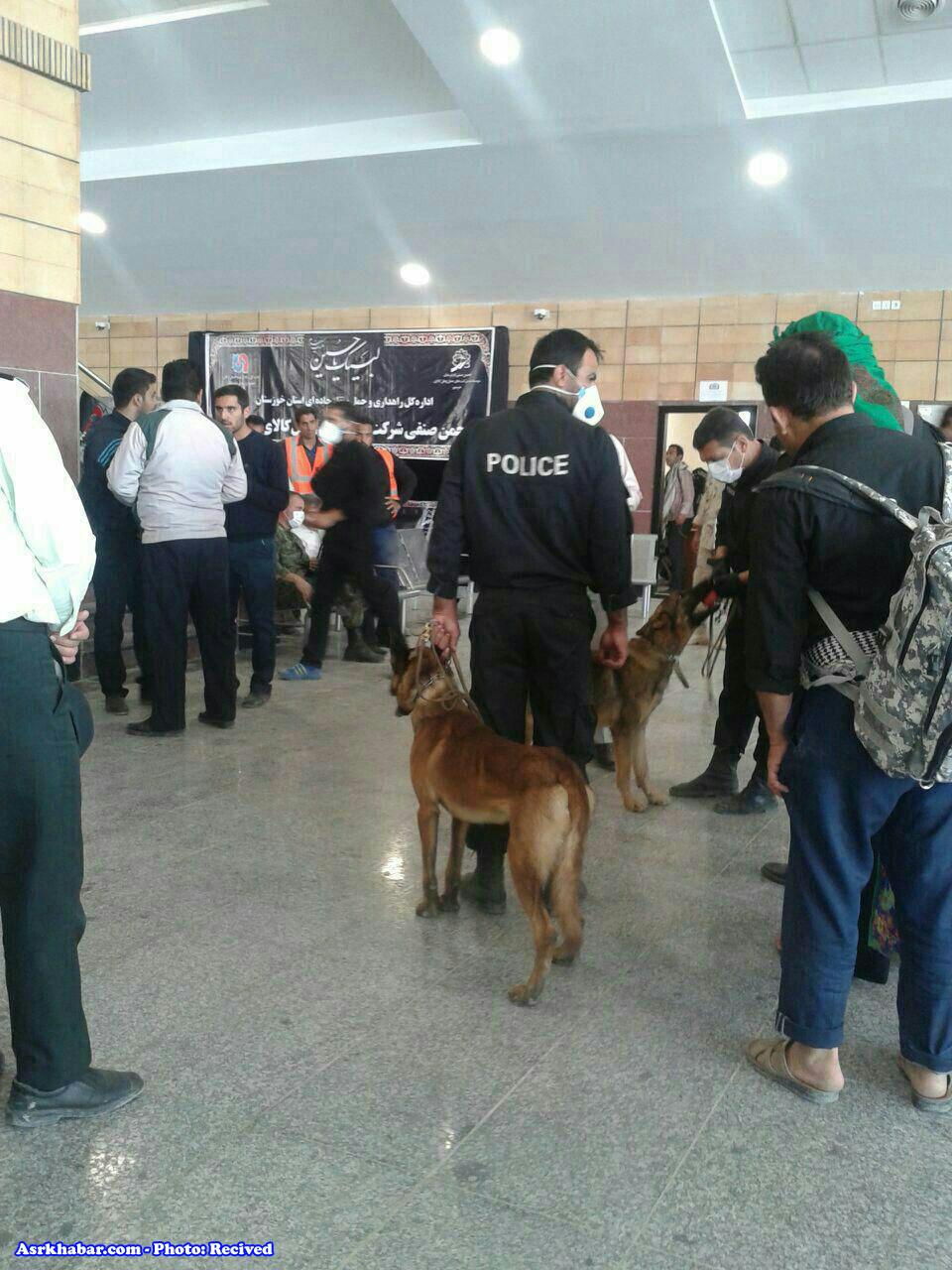 استفاده پلیس از سگ برای تفتیش مسافران در مرز شلمچه (عکس)