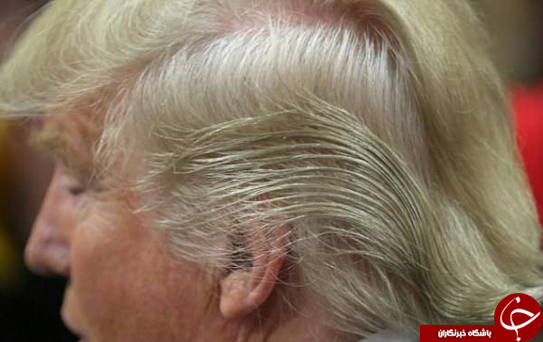 راز مدل موهای ترامپ برملا شد (عکس)