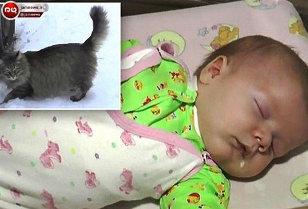 یک گربه فداکار جان یک نوزاد 2 ماهه را نجات داد / گربه ای که همه درباره آن حرف می زند/ (+عکس)