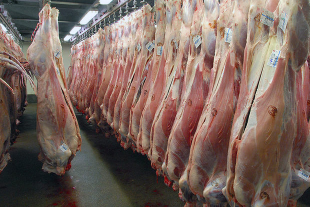 واردات 4 هزار تن گوشت از مغولستان