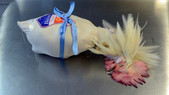گران ترین مرغ جهان(+عکس)