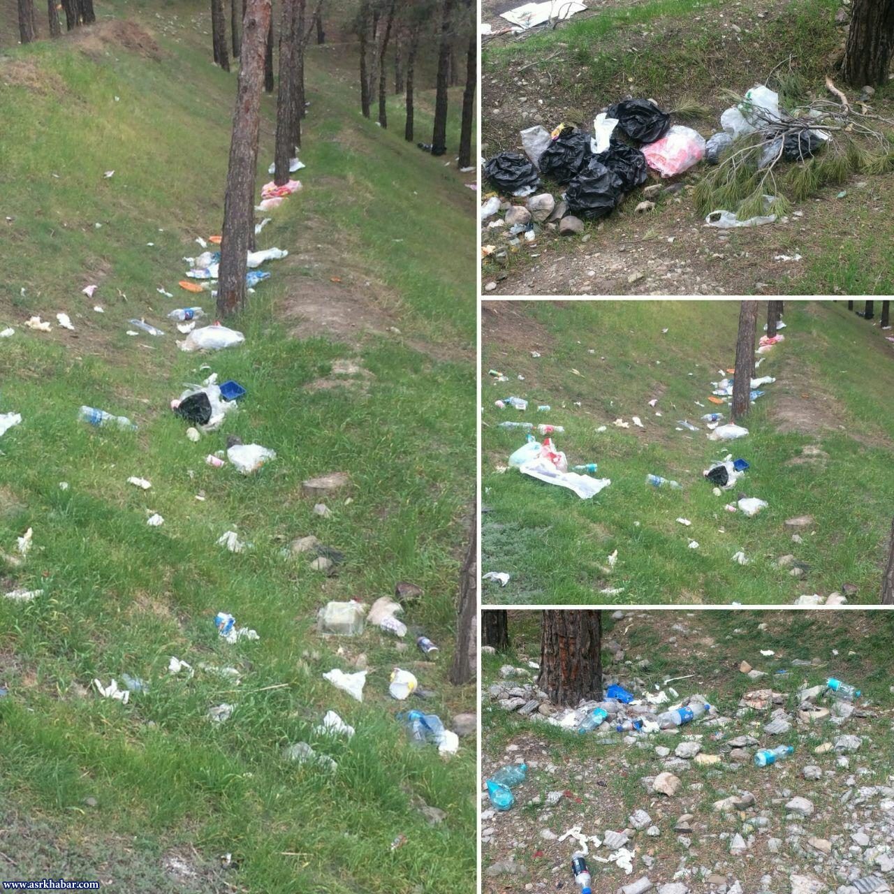 عکس: پارک جنگلی لویزان تهران در تصرف زباله‌ها!