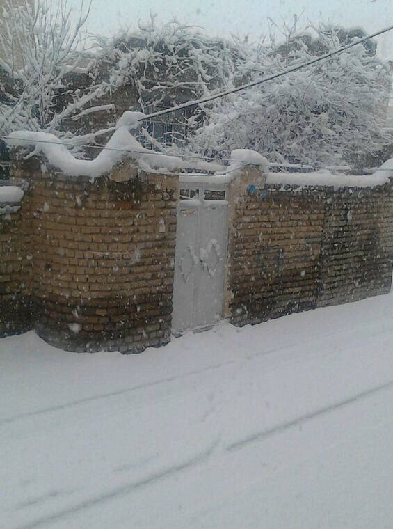 بارش برف در آذربایجان غربی (+عکس)