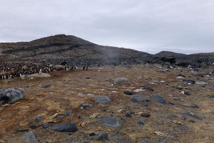 کشف گور دسته‌جمعی پنگوئن‌های مومیایی‌شده (+عکس)