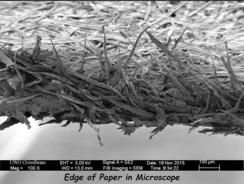 لبه یک برگ کاغذ زیر میکروسکوپ (+عکس)