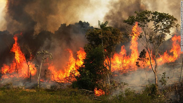 معادل 8 میلیون زمین فوتبال از جنگل های آمازون نابود شده است
