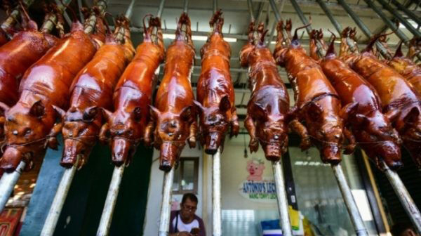 خوک‌ های بریان شده در یک غذا خوری در شهر مانیل فیلیپین(+عکس)