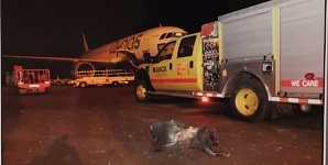 حمله جدید پهپادی به فرودگاه «أبها»ی عربستان