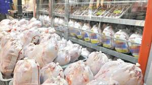 صادرات مرغ از آبادان ممنوع شد
