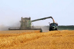 توقف خرید محصولات کشاورزی آمریکا از سوی چین
