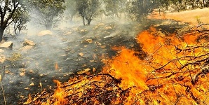 وقوع 66 حادثه آتش‌سوزی در زنجان