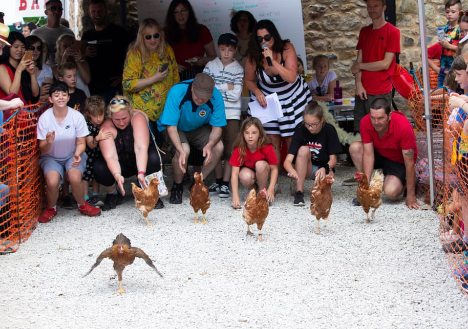 مسابقات دو مرغ ها در دربی‌شر انگلستان! (+عکس)