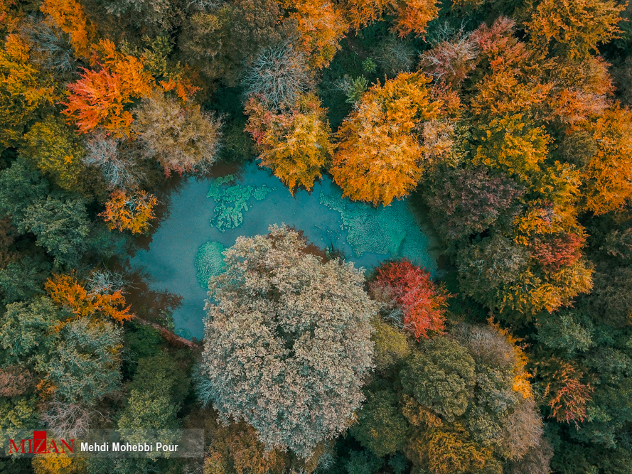 نمایی دیدنی از پاییز رنگارنگ در طبیعت (+عکس)