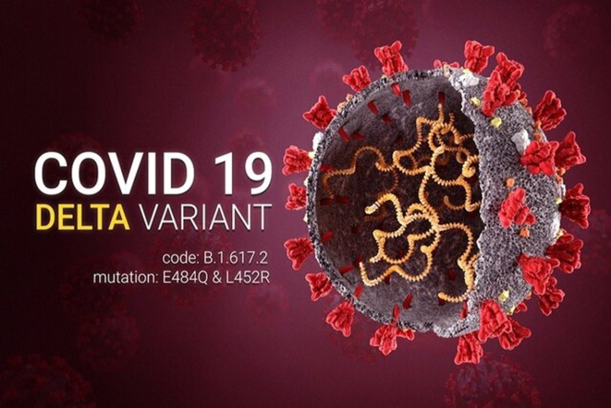 انتقال سریع ویروس هندی و بروز علائم در چند ساعت