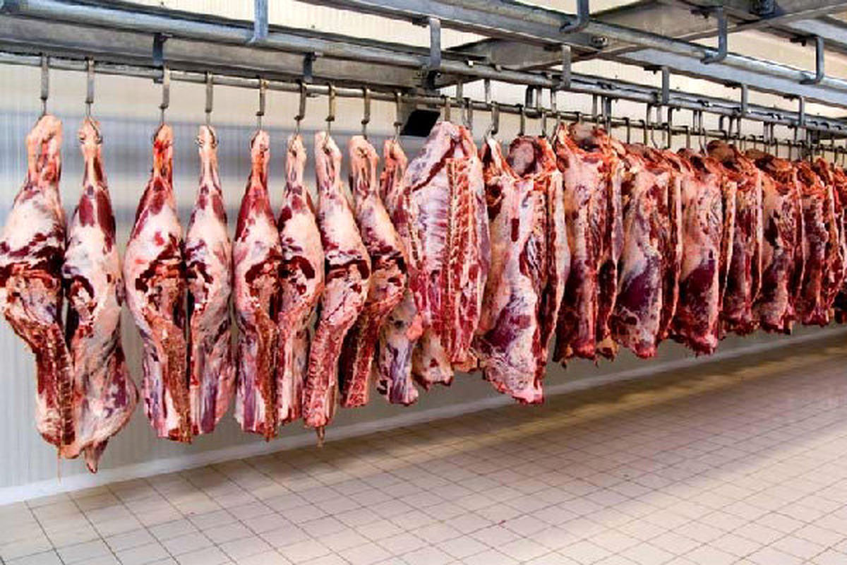 کاهش ۵۰ درصدی مصرف گوشت قرمز در ایران/ رئیس شورای تامین دام: جگر دام‌ها بر اثر خشکسالی سوراخ شده