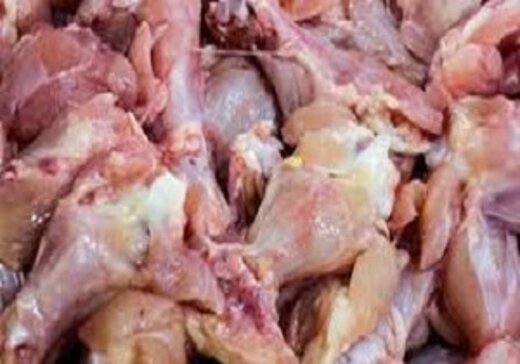 ۴ تن ضایعات مرغ در گلوگاه توقیف شد