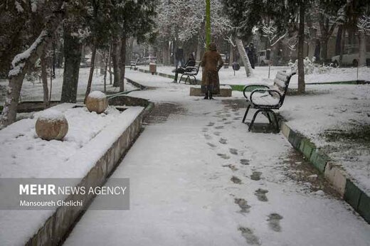 غیرحضوری شدن مدارس چند شهر تهران به دلیل بارش برف