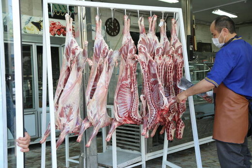 قیمت گوشت را به زیر ۳۰۰ هزار تومان می رسانیم/ بازارگردان ها قیمت را در بازار مدیریت می‌کنند