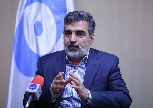 کمالوندی: آژانس در جریان کامل اقدامات ایران در مجتمع نطنز است
