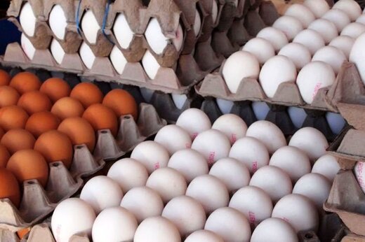 رونمایی از قیمت جدید و مصوب تخم مرغ