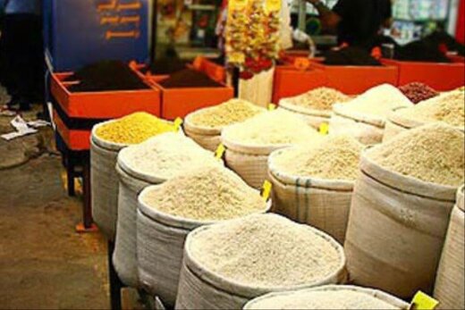 قیمت برنج سقوط می کند؟ / اعلام قیمت عمده فروشی در مازندران و گیلان
