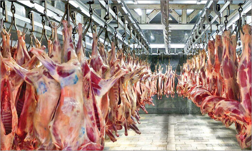 قیمت گوشت قرمز گوسفندی امروز ۲ مرداد/مغز راسته گوسفندی درصدر جدول قیمت
